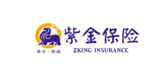 zking-insurance