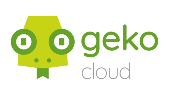 ‘Geko 提供解决方案，帮助企业采用云计算、混合计算、容器开发，以及整个 DevOps 方法论，以确保 CI/CD、监控和随着业务增长而增长的自动伸缩平台的最佳实践。’